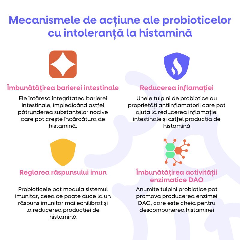 Mechanismy účinku probiotik  při histaminové intoleranci